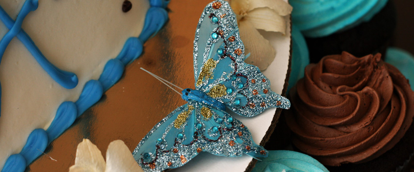 butterfly